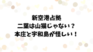 新空港占拠の二葉は山猫でなはい？怪しいのは本庄と宇和島の理由！